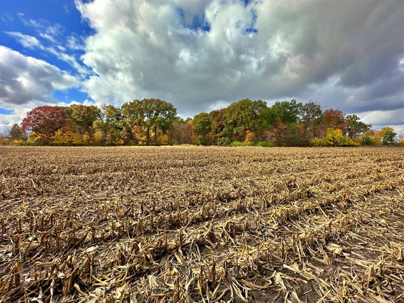 Alvarez 16 : Monticello : White County : Indiana