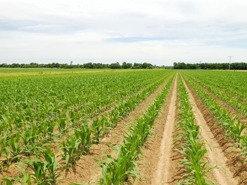 The Homeplace Farm : Blakemore : Lonoke County : Arkansas