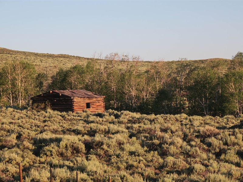 Badger Creek Homestead Ranch : Encampment : Carbon County : Wyoming
