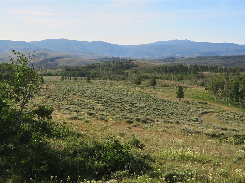 Sierra Madre Mountain Parcel 4 Ranch for Sale in Encampment, Carbon