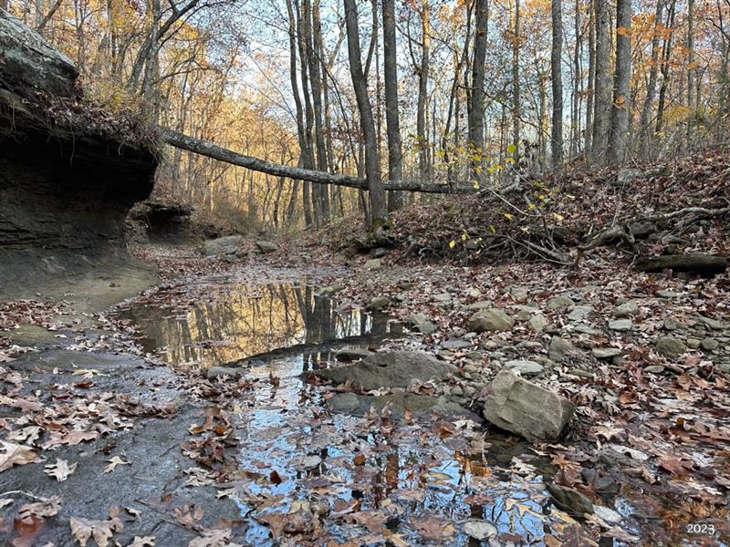 74.34 Acres Adjacent to The Ozark : Clinton : Van Buren County : Arkansas