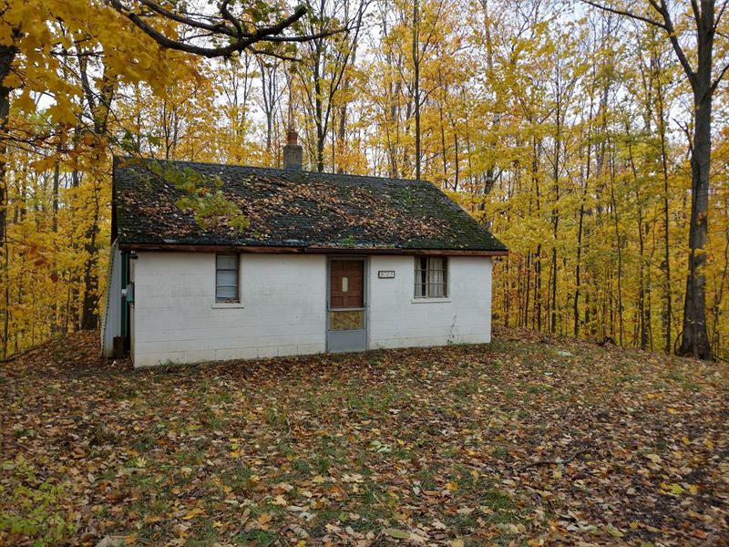 Hunting Land, 40 Acres Gaylanta, Ranch for Sale in Michigan, 220245