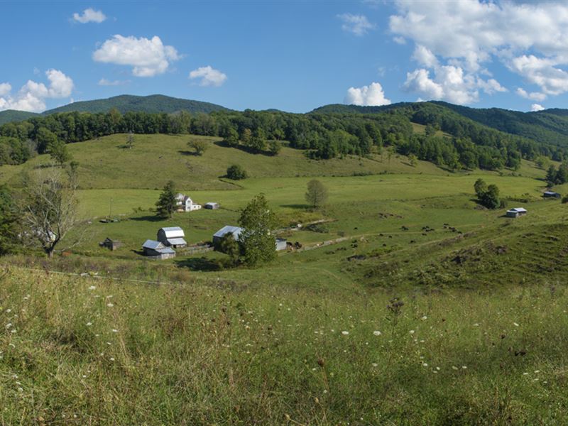 Mountain Farm, Endless Options : Marion : Smyth County : Virginia