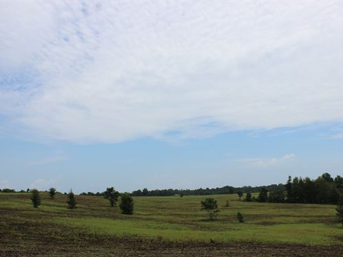 Open Land with 3 Acre Pond : Buena Vista : Marion County : Georgia