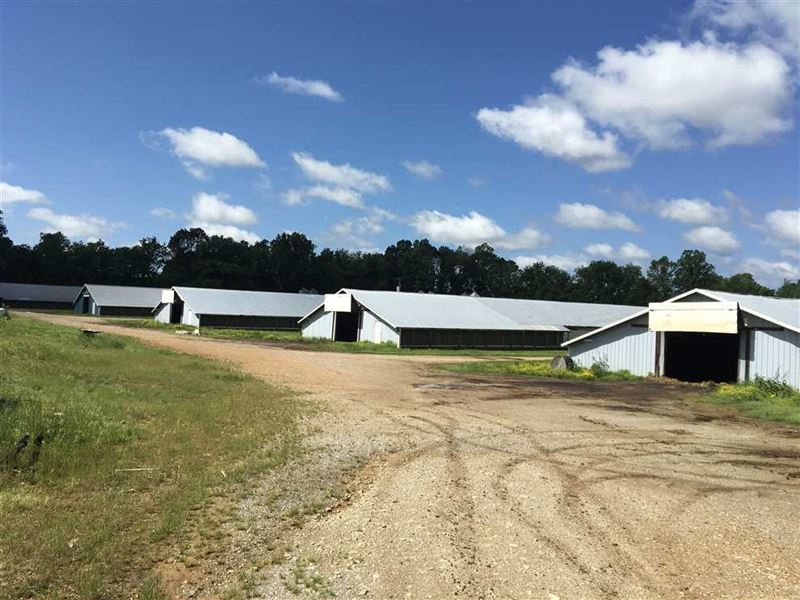 5 House Peco Poultry Farm, 38 : Smithville : Sharp County : Arkansas