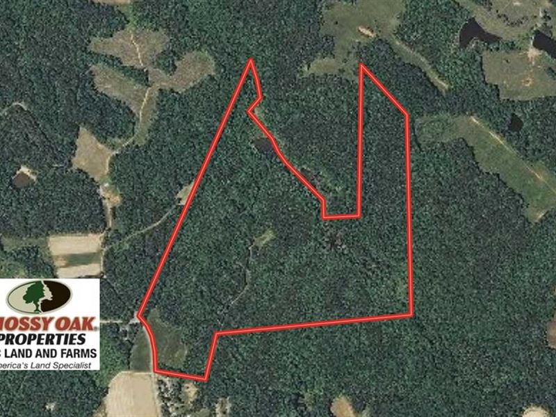 Under Contract, 81.9 Acres of Hu : Milton : Caswell County : North Carolina