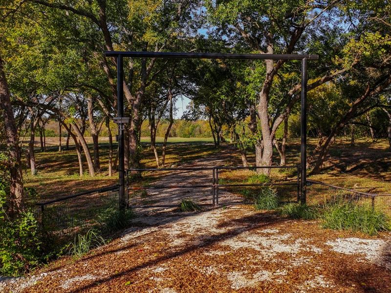 Black Oak Estate : McKinney : Collin County : Texas
