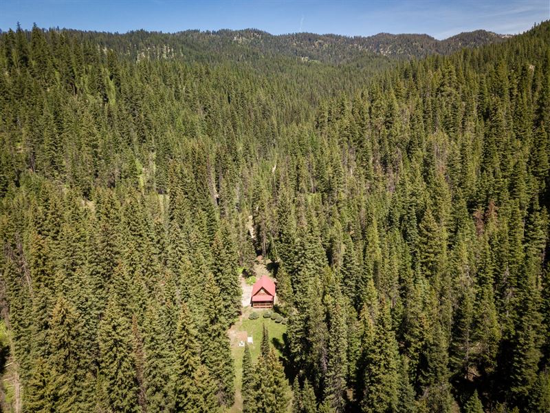 Secluded OffGrid Mountain Property, Ranch for Sale in Idaho, 221521