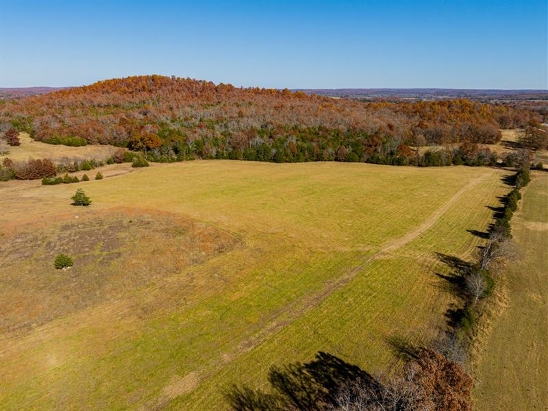 320 Acre, Cattle Farm, Hunting : Franklin : Izard County : Arkansas