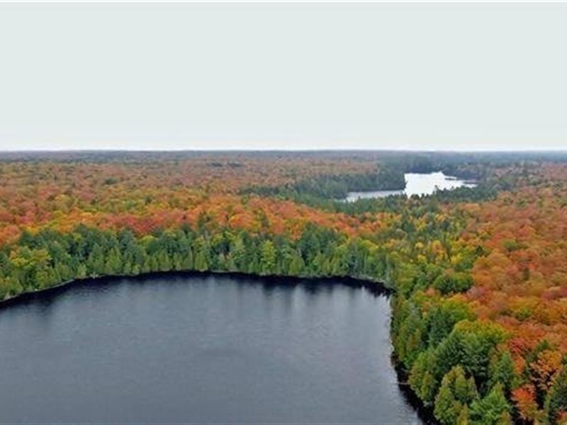 My Own Wilderness, 2190 Ac : Amasa : Iron County : Michigan