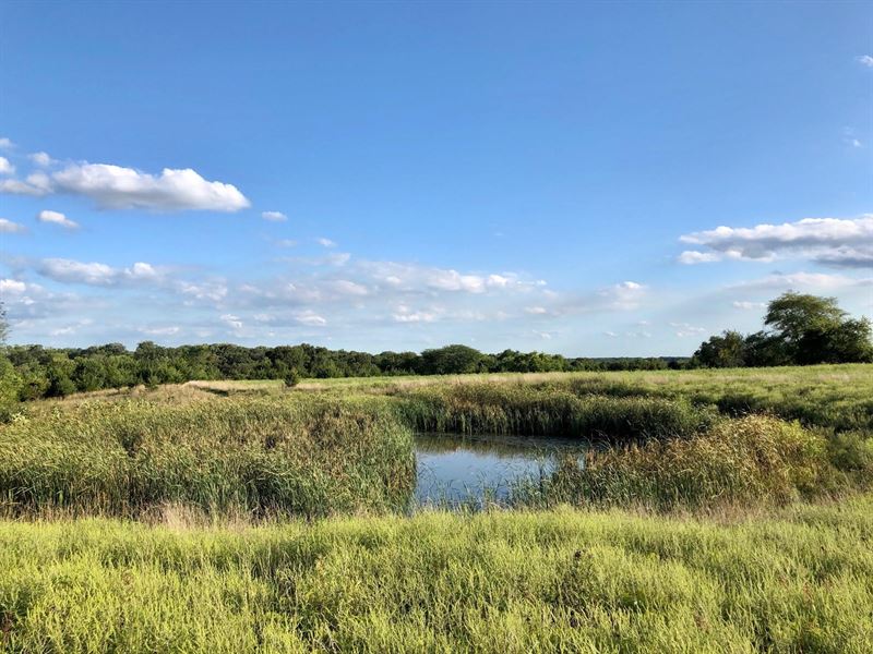 77 Acres Decatur County Iowa Crp Ranch for Sale in Garden Grove