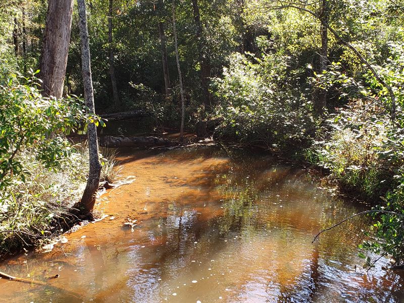 Prime Hunting and Timber Tr 2 of 3 : Lumpkin : Stewart County : Georgia