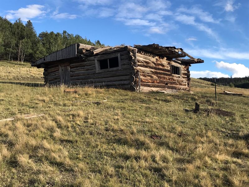Colorado Mountain / Ranch / Hunting Ranch for Sale in Hartsel, Park