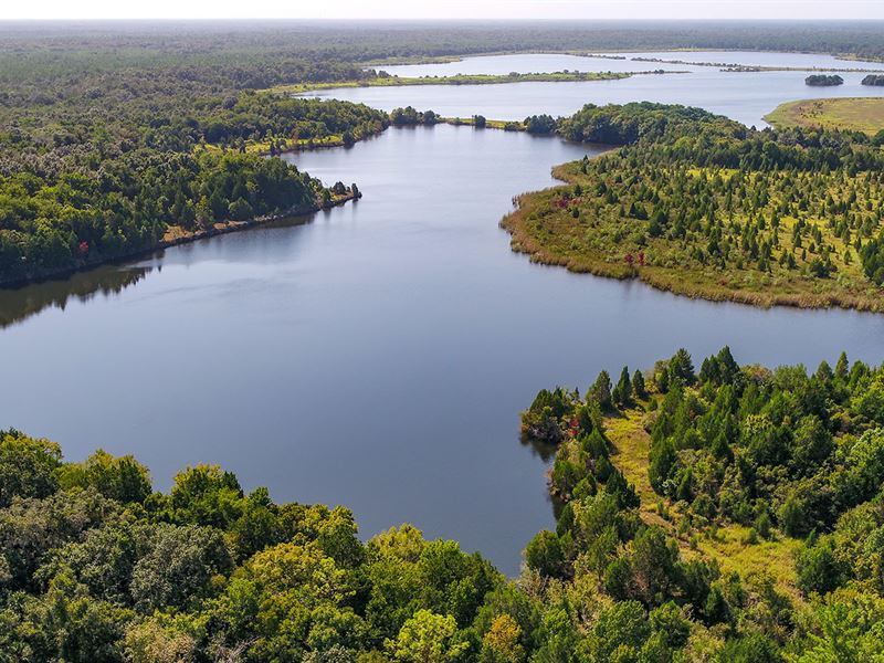 Florida Rock Quarry : Gulf Hammock : Levy County : Florida
