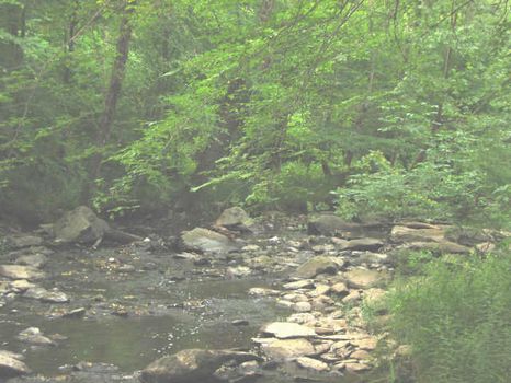 Frontage On Brush Creek : Siler City : Chatham County : North Carolina