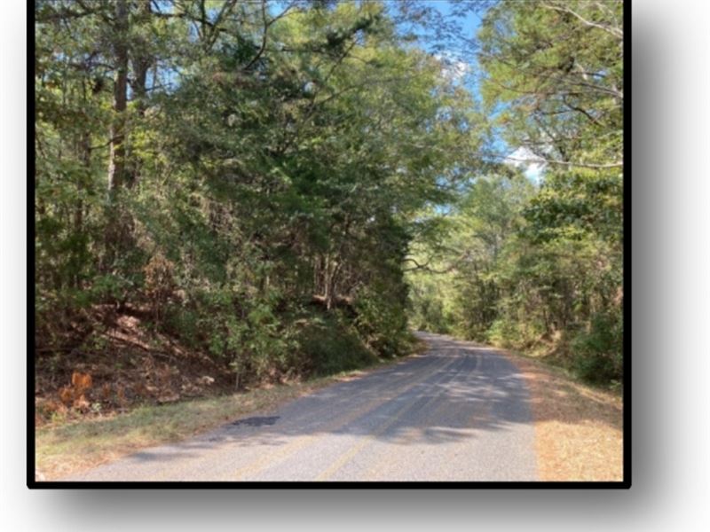 114.52 Acres in Hinds County in Ray : Raymond : Hinds County : Mississippi