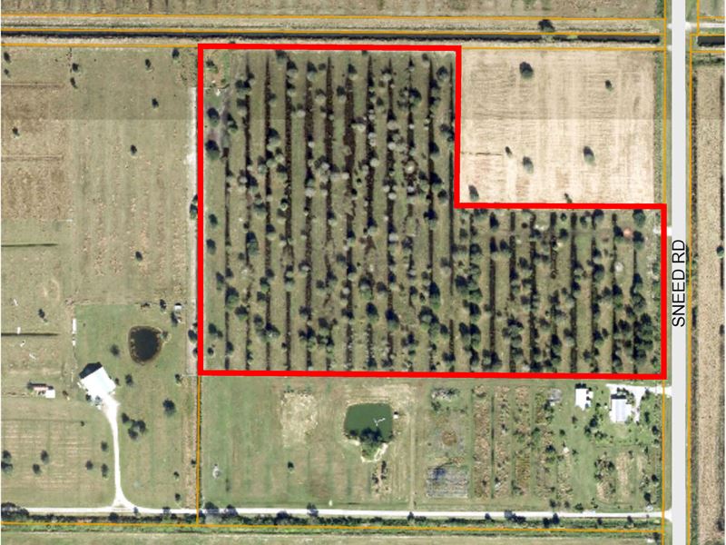 Pasture w Mature Oaks, Paved Road : Fort Pierce : Saint Lucie County : Florida
