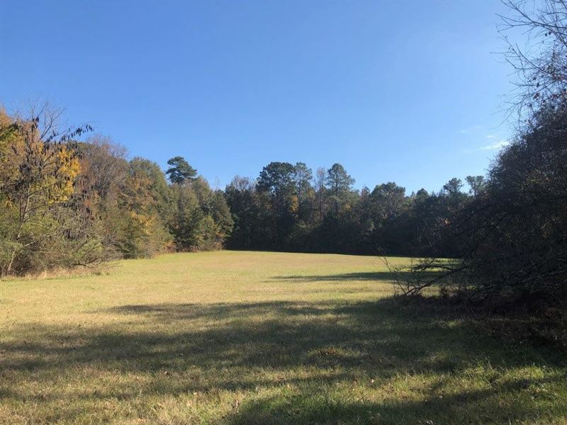 Town Creek : Greensboro : Greene County : Georgia