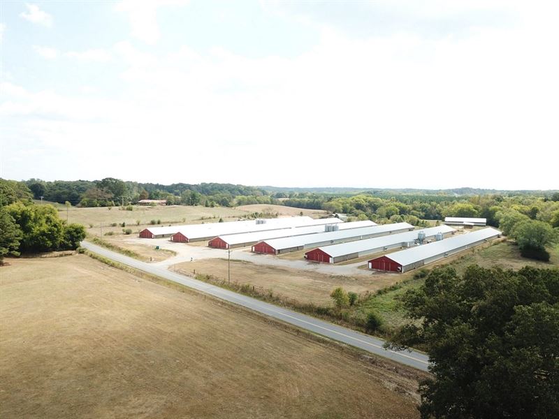 Covington Bridge Poultry : Fairmount : Gordon County : Georgia