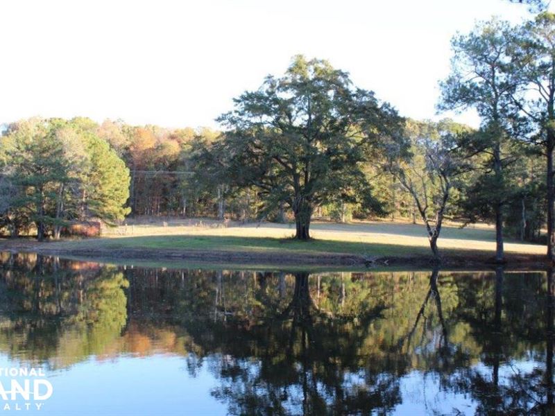 Long Road Fishing, Hunting, & Recre : Grady : Montgomery County : Alabama