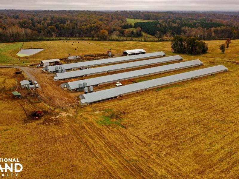 Cleveland County Broiler Chicken : Kings Mountain : Cleveland County : North Carolina