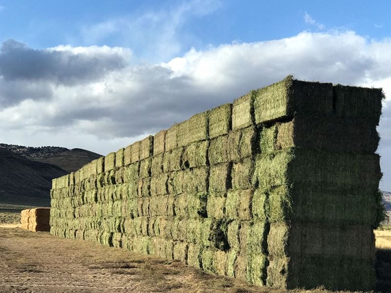 Washoe County Nevada Hay Farm : Gerlach : Washoe County : Nevada