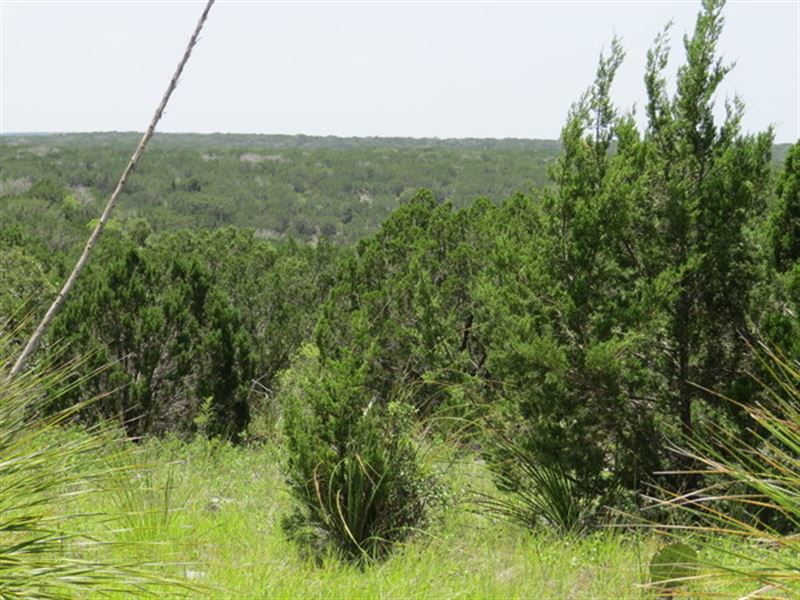 75 Acres Hill Country with Electric : Rocksprings : Edwards County : Texas