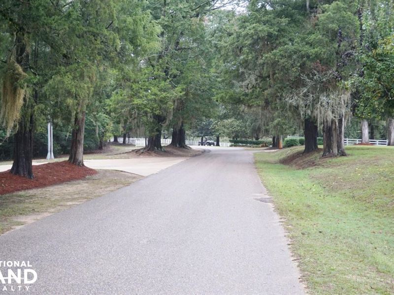 Enon Plantation Hunting and Timber : Midway : Bullock County : Alabama