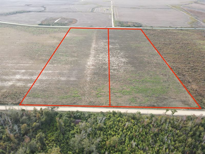 20 Acre Residential Property : Kinard : Calhoun County : Florida