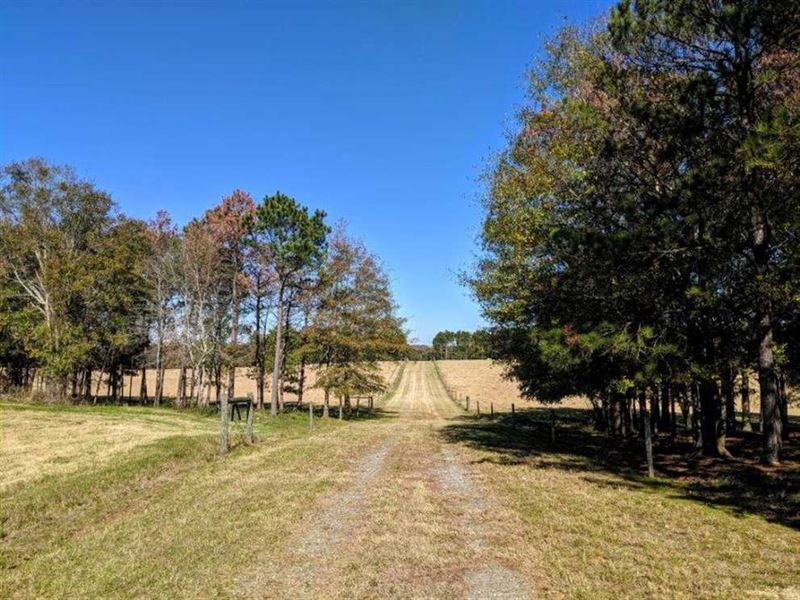 Cattle Farm, Hunting, and Pecans, Ranch for Sale in 224350
