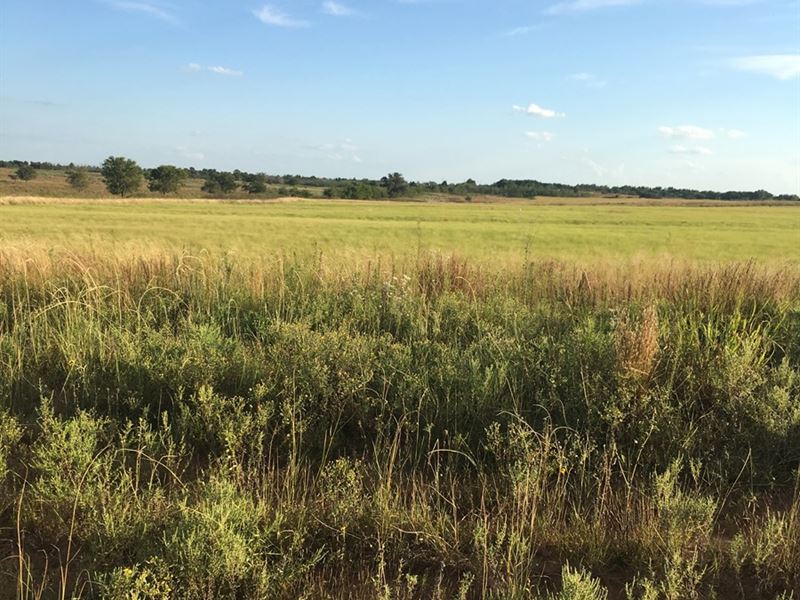 Western Oklahoma Land for Sale : Erick : Beckham County : Oklahoma