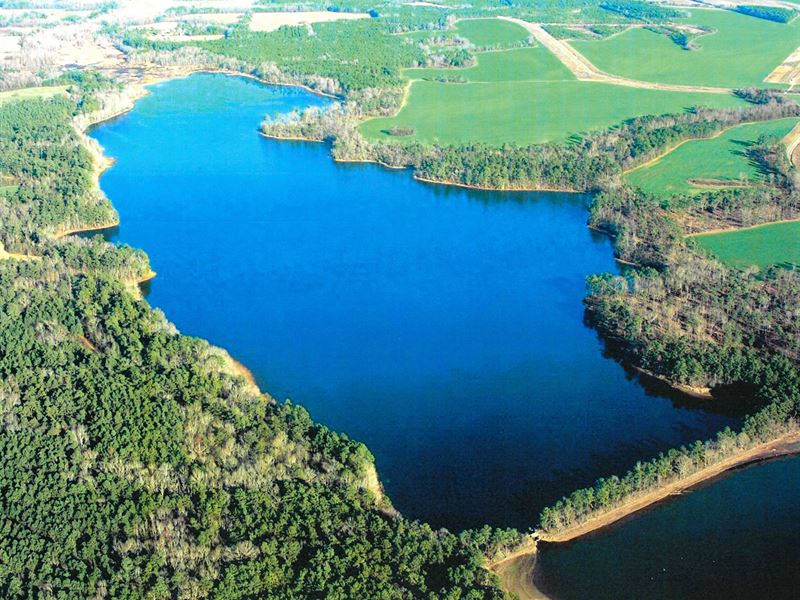 Cantey Bay Lakefront : Saint Paul : Clarendon County : South Carolina