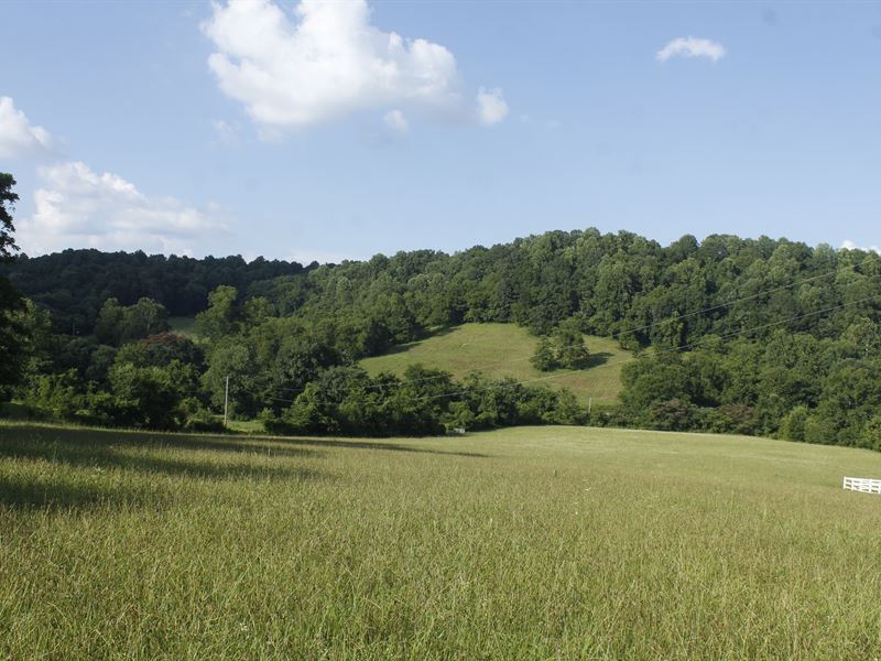 Equestrian Estate : Lewisburg : Marshall County : Tennessee