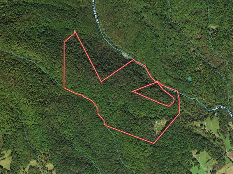 122.18 Acres : Bedford : Bedford County : Virginia