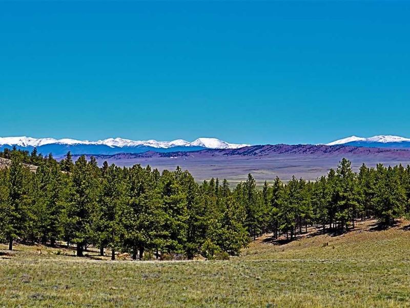 Bison Ridge Ranch : Hartsel : Park County : Colorado