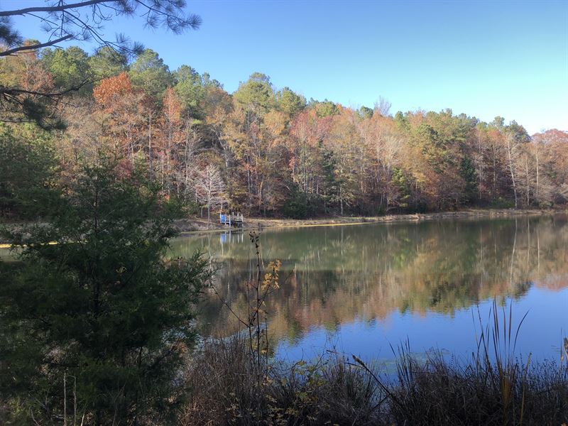 Jasper County Jeffries Property, Ranch for Sale in 225067