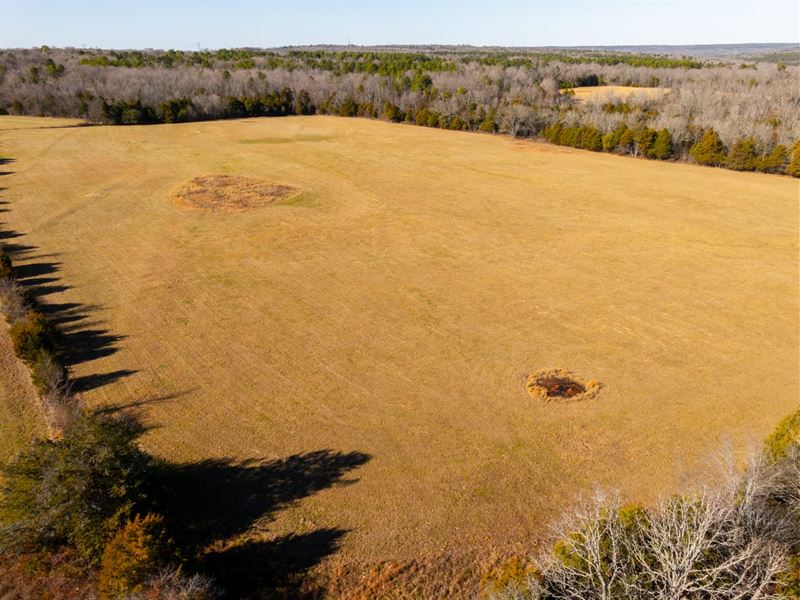 80 Acres, 4 Ponds, Creek, Pastur : Bradford : White County : Arkansas