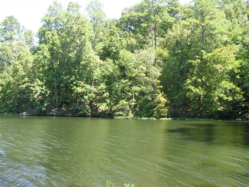 Lake Jordan Waterfront Tract, Ranch for Sale in Alabama, 225710