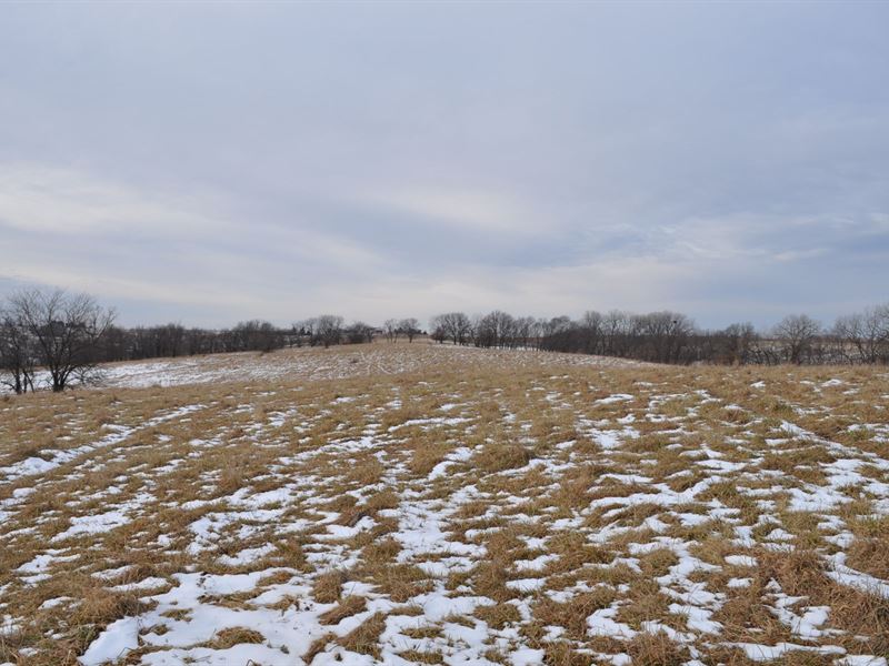 80 Acres Pasture in Gentry County : King City : Gentry County : Missouri