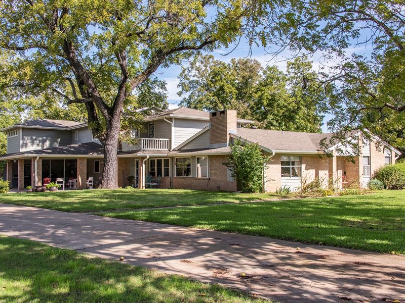 Pecan Orchard for Sale in NE Texas : Arthur City : Lamar County : Texas