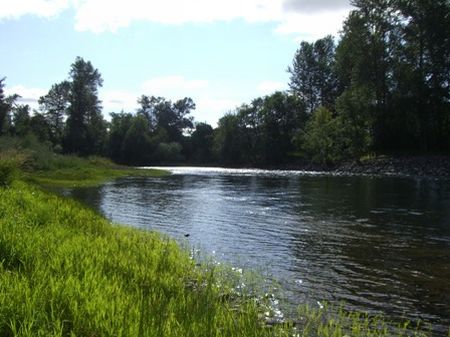 ranch mckenzie river property ranchflip