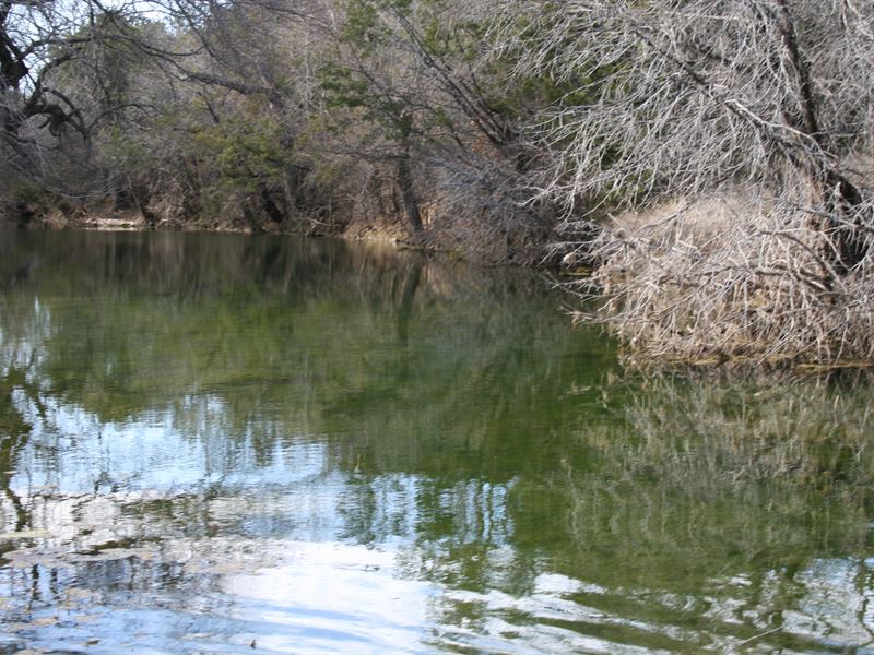 229 Acre Ranch with Creek and Pond : Strawn : Palo Pinto County : Texas