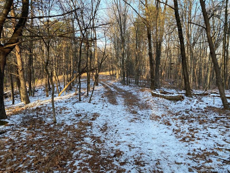 MD Acres with State Forest Access : Flintstone : Allegany County : Maryland