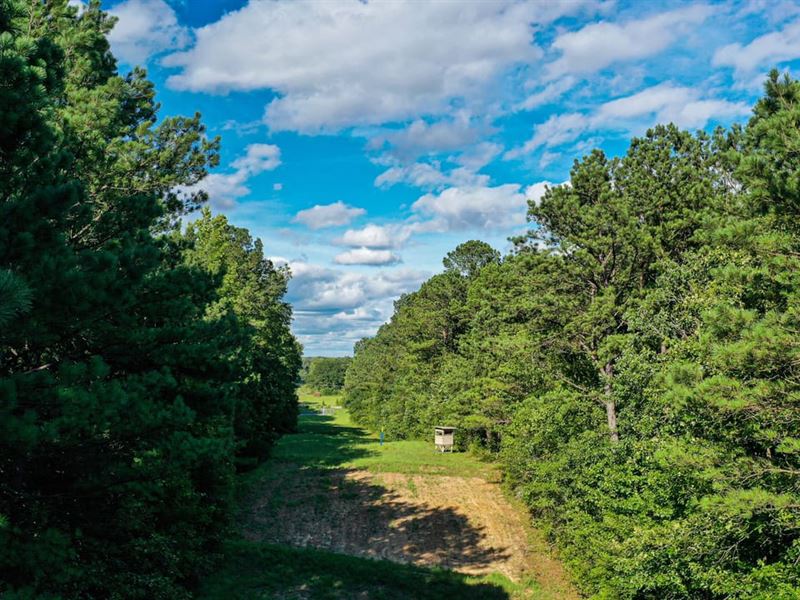 33.5 Acres Attala County : Kosciusko : Attala County : Mississippi