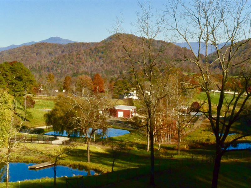 Mountain Ranch & Estate + Ranch for Sale by Owner in North