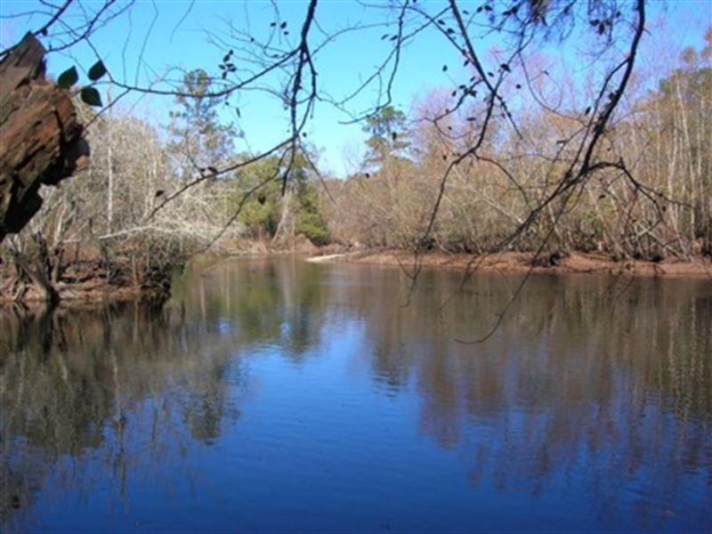 71 Acres on Big Satilla River : Nahunta : Brantley County : Georgia