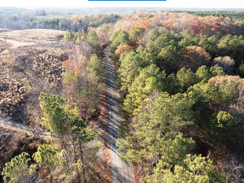 Tract D 33.0 Acres on Franklin Coun : Hodges : Franklin County : Alabama