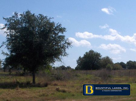 40 Acre Development Property $2.8 : Dundee : Polk County : Florida