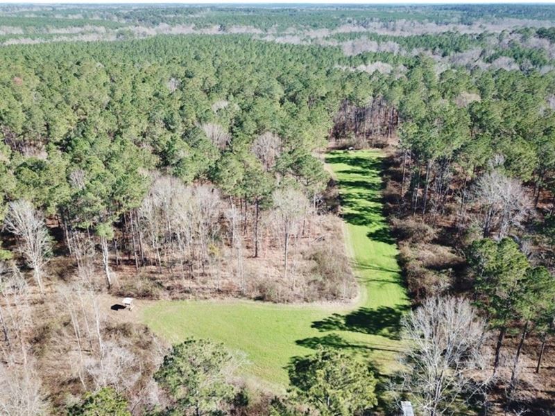 Recreational Timber Land For Sale Ranch for Sale in Union Church