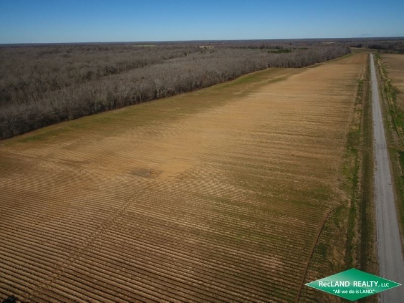 300 Ac, Irrigated Farm Land : Fort Necessity : Franklin Parish : Louisiana